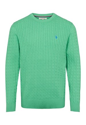 Miętowo zielony sweter w warkoczowy splot z okrągłym dekoltem. Posiada ściągacze na mankietach i dole, szczegółowy wzór oraz małe niebieskie logo na piersi.