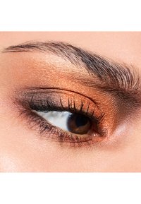 Close-up of a brown eye with warm copper eyeshadow, defined lashes, and a groomed eyebrow with a natural texture and shape.