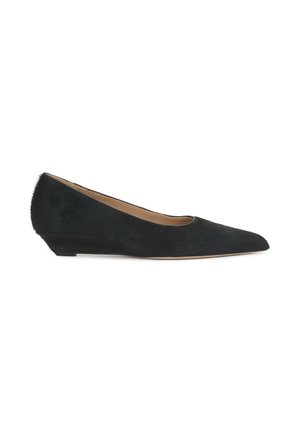 Chaussure plate noire à bout pointu avec un petit talon compensé et une finition mate et lisse.