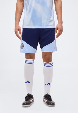 Mužský futbalista má na sebe svetlomodré a námornícke modré šortky, biele podkolienky s modrými pruhmi a čierne kopačky na jednoduchom pozadí.