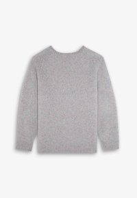 Scalpers ALAN - Trui - light grey