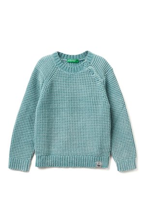CHENILLE CREW NECK - Trui - green