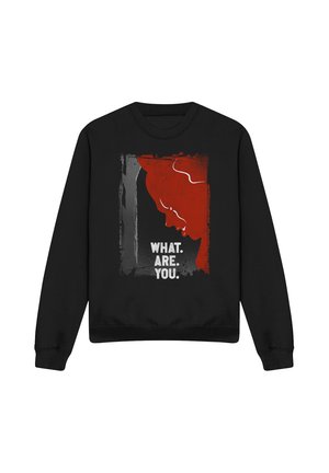 Warner Brothers, WELCOME TO DERRY PENNYWISE WHAT ARE YOU - Sweatshirt - black