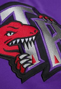 Tessuto viola con un motivo ricamato di un dinosauro rosso con denti e artigli bianchi, affiancato da lettere grigie in grassetto con accenti viola.