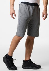 Swedemount VERTICAL - Kurze Sporthose - grey melange