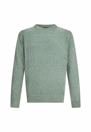 Maglione verde lavorato a maglia con colletto a girocollo a coste, maniche lunghe e orlo a coste. Presenta un motivo testurizzato su tutta la superficie del tessuto.