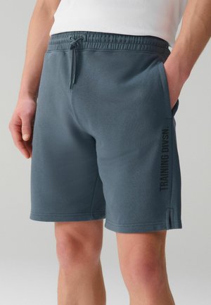 Next, REGULAR FIT - ACTIVE TRAINING DIVISION SHORTS  . - Jogginghose - slate grey