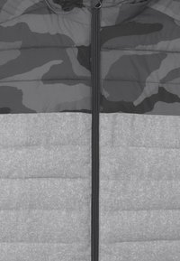 Quiksilver SCALY MIX YOUTH - Vinterjacka - grey