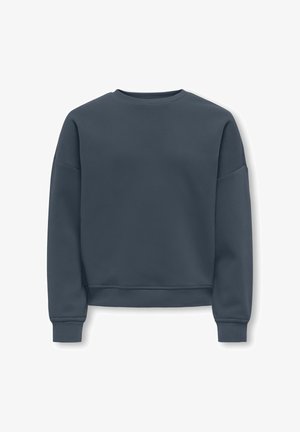 Felpa grigia realizzata in tessuto liscio, con collo rotondo, maniche lunghe e polsini a costine. Design semplice senza motivi o dettagli.