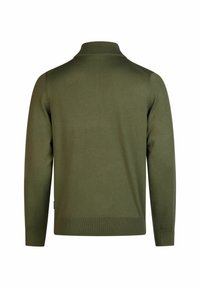 Olivgrüner Strickpullover mit hohem Kragen, langen Ärmeln und gerippten Bündchen und Saum. Glatte Textur, keine sichtbaren Muster oder Hardware.