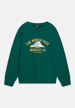 The North Face VARSITY GRAPHIC RELAXED CREW UNISEX - Sudadera - evergreen