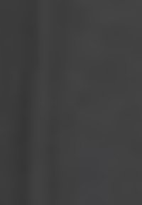 Taifun DETAILVERLIEBTES MIDI - Jersey dress - schwarz