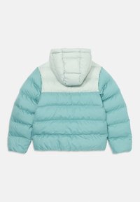 Chaqueta de abrigo color verde claro con capucha, que presenta un diseño en bloques de color de dos tonalidades. Textura ligeramente brillante, con secciones acolchadas para aislamiento.