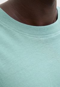 Miętowo-zielony bawełniany t-shirt z klasycznym okrągłym dekoltem. Gładka tekstura i delikatne przeszycia wokół dekoltu, prezentujące czysty i prosty design.