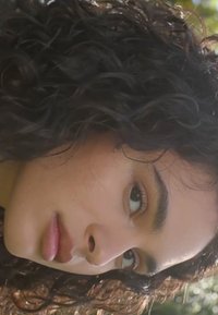 Miniaturebillede 2