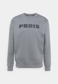 Sweat-shirt gris à col rond avec "PARIS" brodé en grandes lettres capitales sur la poitrine et un petit logo rouge sur le poignet de la manche gauche.