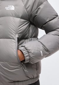 Άτομο που φοράει γκρι μπουφάν The North Face με τη χειρολαβή στην πλαϊνή τσέπη με φερμουάρ και "600" στο μανίκι.