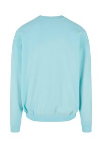 Pullover sweater azzurro chiaro a maniche lunghe. Caratterizzato da un colletto rotondo e polsini e orlo a costine. Texture liscia, vestibilità comoda.