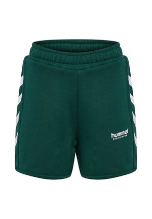 Grønne atletikshorts lavet af blødt stof med elastisk linning og hvide chevron-detaljer på siderne. Har logo foran.