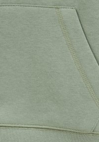 WE Fashion BLUE RIDGE - Felpa - light green