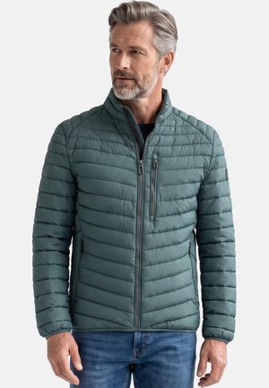 Midaldrende mand med gråt hår og skæg iført en grøn quiltet jakke og blå jeans, der kigger let til siden mod en ensfarvet baggrund.