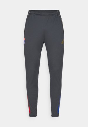 Gray athletic pants with a slim fit, featuring red and blue side accents, an elastic waistband, and embroidered logo on the front.