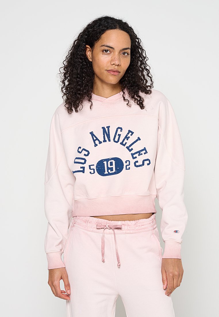 Champion Sweater meerkleurig