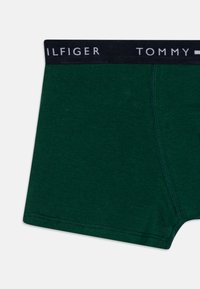 Tommy Hilfiger TRUNK PRINT 3 PACK - Panties - desert sky/green/orange