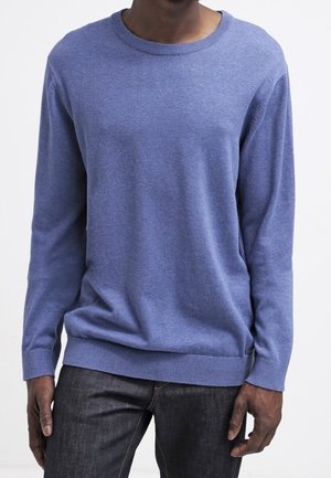 Mann trägt einen hellblauen Pullover mit langen Ärmeln und Rundhalsausschnitt sowie dunkle Jeans, steht vor einem schlichten weißen Hintergrund.