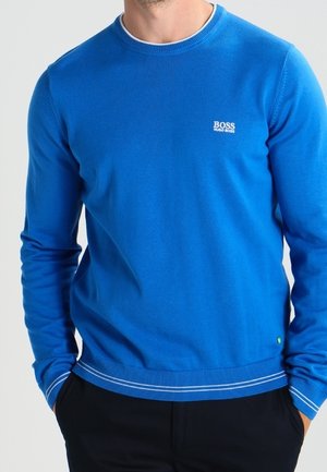 Sweter