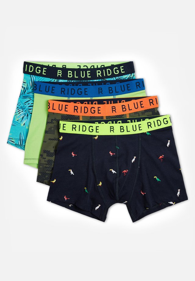 4-PACK  - Panties - multi-coloured