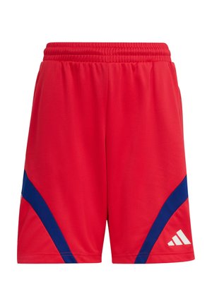 Dos niños con trajes deportivos Adidas a juego azul y rojo con zapatos y calcetines blancos están de pie frente a un fondo blanco.