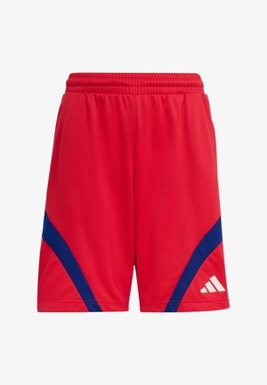 Dos niños con trajes deportivos Adidas a juego azul y rojo con zapatos y calcetines blancos están de pie frente a un fondo blanco.