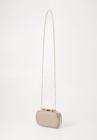 Borsa a spalla in rete metallica con forma rettangolare, finitura dorata, tracolla a catena e chiusura a scatto. Superficie testurizzata con motivo a griglia.