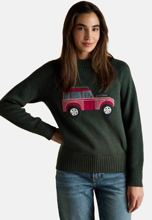 Grüner Strickpullover mit einem großen, rosa gestickten Autodesign. Rippbündchen und -saum sorgen für Textur. Trägt man mit blauen Jeans.