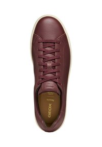 Bordové kožené tenisky s kulatou špičkou, šněrováním vpředu a smetanovou podešví. Interiér obsahuje zlaté logo a měkké polstrování.