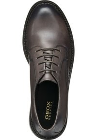 Geox Stringate - taupe