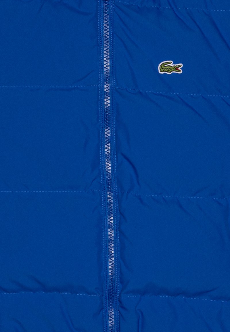 Lacoste BLOUSON CORE ESSENTIALS Veste d'hiver lazuli/bleu