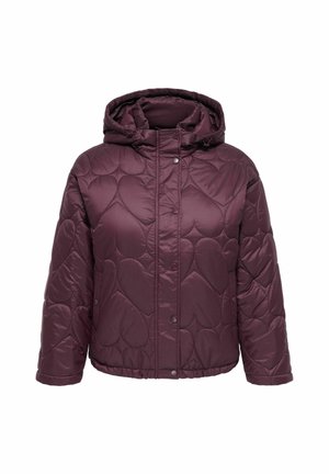 ONLY Carmakoma, QUILTED JACKET CARTAHIA QUILTED JACKET - Chaqueta de invierno - fudge