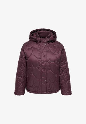 ONLY Carmakoma, QUILTED JACKET CARTAHIA QUILTED JACKET - Veste d'hiver - fudge