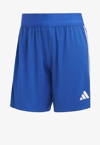 Ausgewählt, royal blue/white