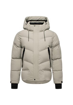 STEPP - Winter jacket - silver grey
