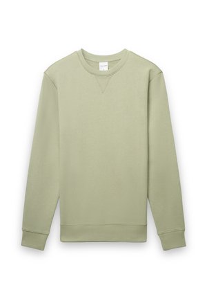 Light green sweatshirt made of soft fabric, featuring a crew neck, long sleeves, ribbed cuffs, and a v-stitch detail at the neckline.