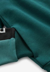 Baker by Ted Baker REGULAR FIT - Felpa con zip - green