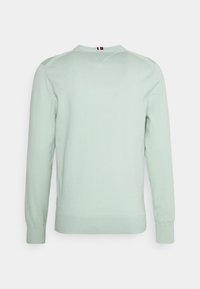 Hellgrüner Pullover mit langen Ärmeln, Rundhalsausschnitt und gerippten Bündchen. Die Rückseite zeigt einen kleinen gestreiften Akzent am Hals.