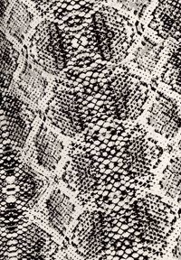 Schwarz-weißer Schlangenhautmuster mit unterschiedlichen Schuppen und Formen, das eine Mischung aus runden und kantigen Designs im gesamten Textur aufweist.