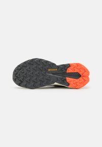 Adidas Terrex TERREX TRAILMAKER  - Obuća za pješačenje - carbon/grey six/core black