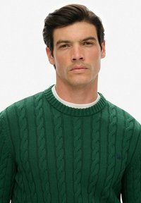Groene kabelgebreide trui met geribbelde ronde hals. Beschikt over textuurpatronen en subtiele branding op de borst.