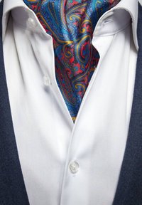 Witte overhemd met een blauwe en rode paisley zijden stropdas gestoken in een marineblauwe blazer, met plastic knopen en een gladde stofstructuur.