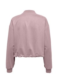 Sweat-shirt court rose poussiéreux à manches longues, avec poignets côtelés et ourlet élastique froncé, vu de dos.